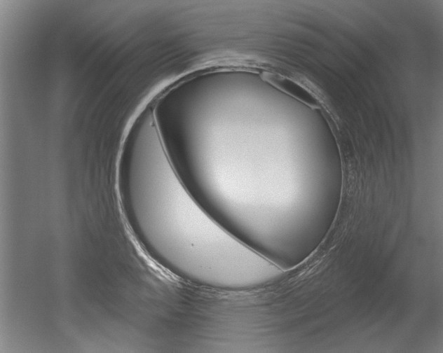 X0000052541128200507010812