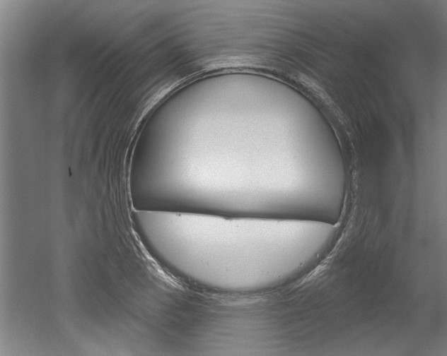 X0000052541129200507010812