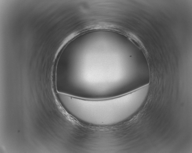 X0000052541138200507010812
