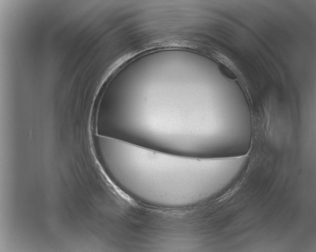 X0000052541141200507010812
