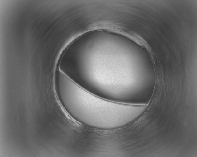 X0000052541144200507010812