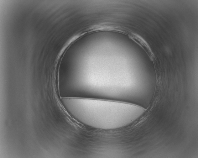 X0000052541146200507010812