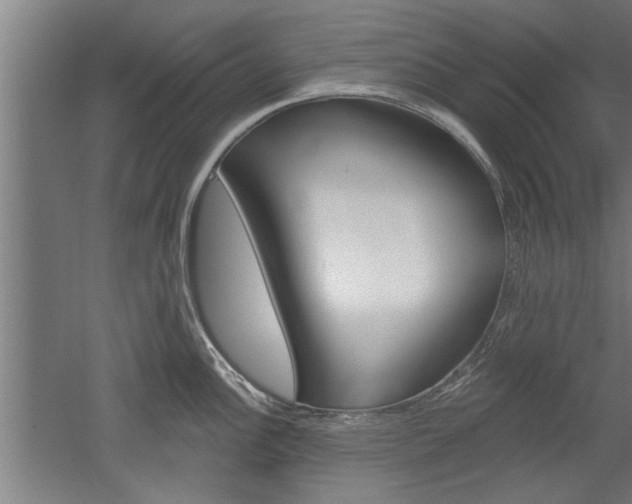 X0000052541148200507010812