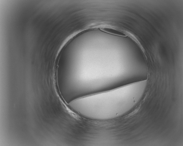 X0000052541149200507010812