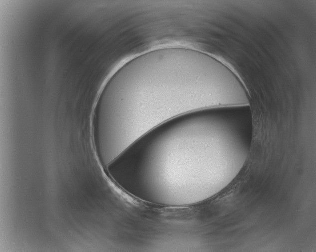 X0000052541151200507010812