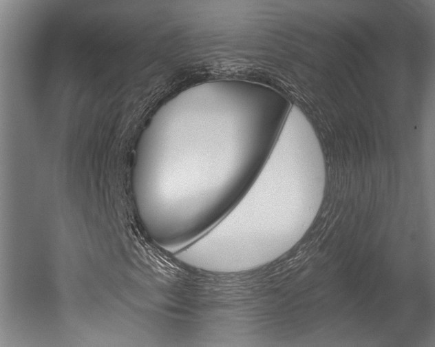 X0000052541153200507010811