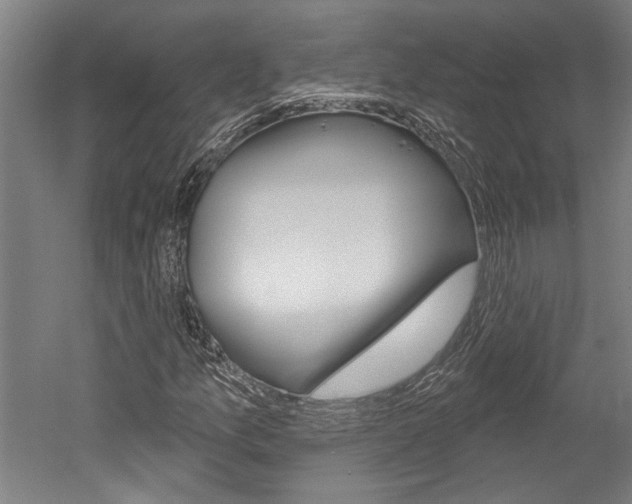 X0000052541157200507010811
