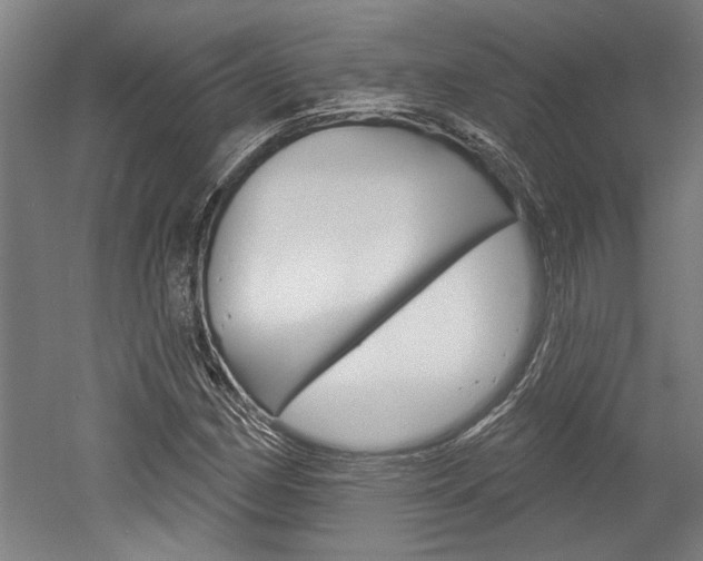 X0000052541162200507010811