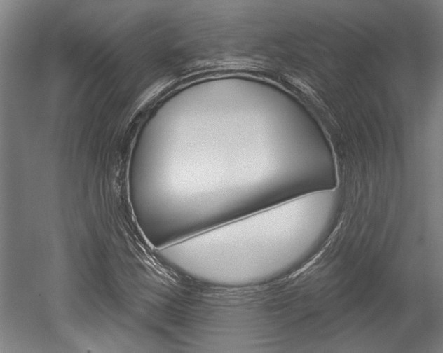X0000052541163200507010811
