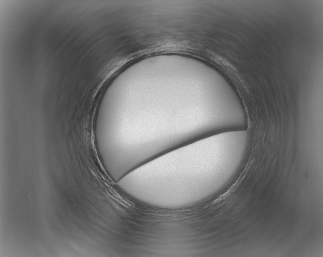 X0000052541170200507010811