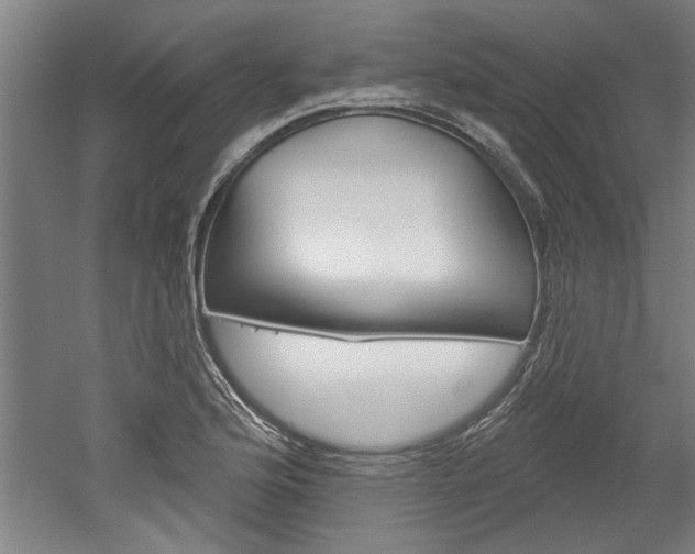 X0000052541176200507010811