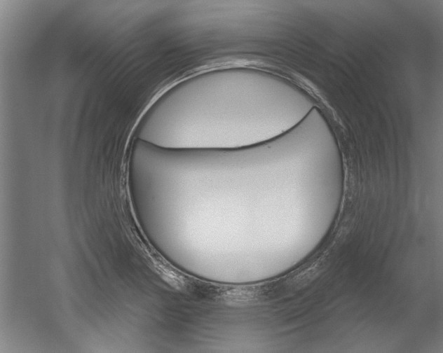 X0000052541178200507010811
