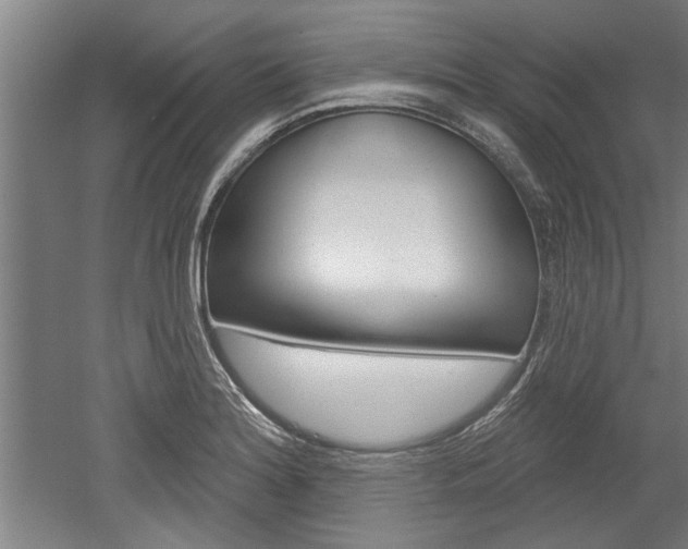 X0000052541180200507010811