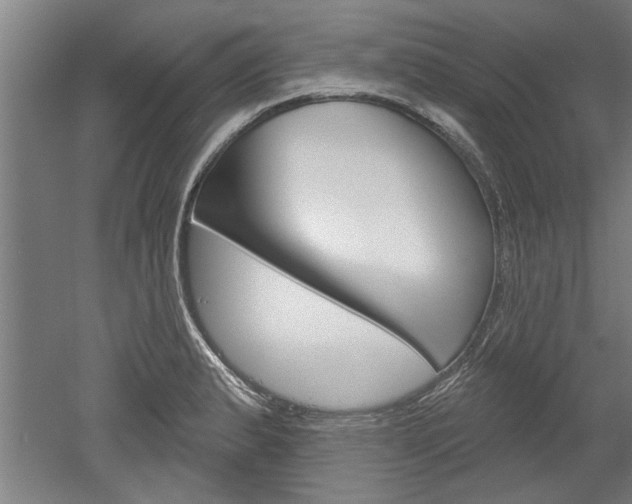 X0000052541183200507010811