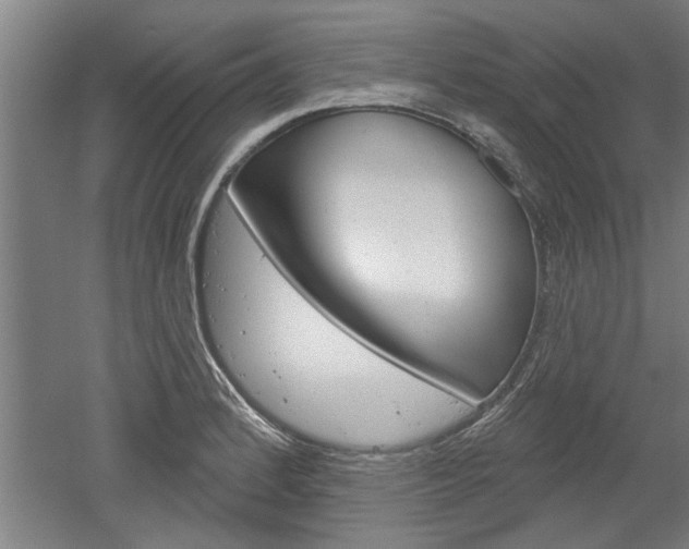 X0000052541184200507010811