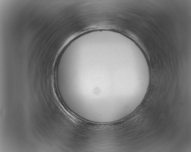 X0000052541187200507010811