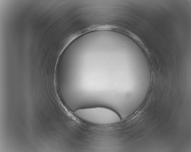 X0000052541194200507010811