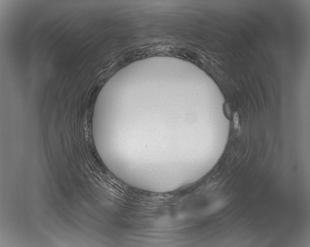 X0000052541203200507010810