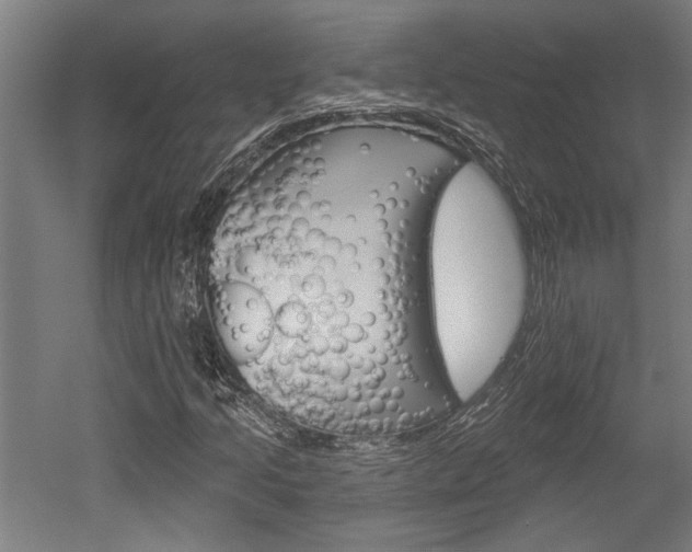 X0000052541205200507010810