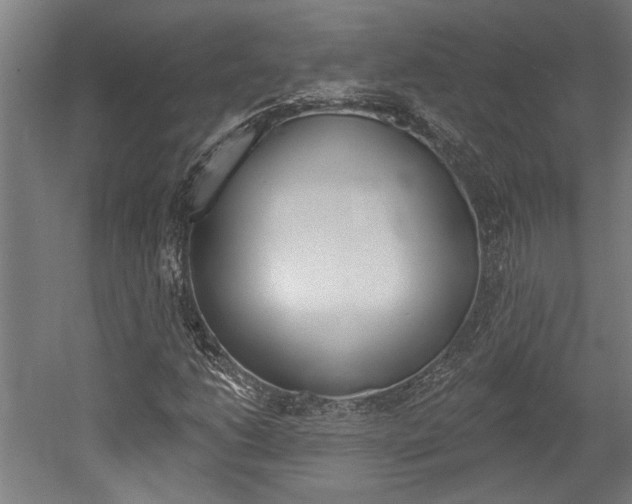 X0000052541206200507010810