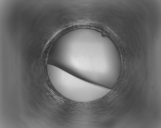 X0000052541208200507010810