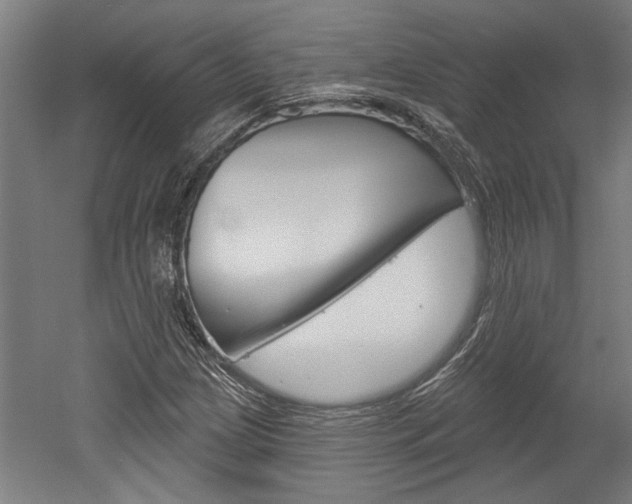 X0000052541209200507010810