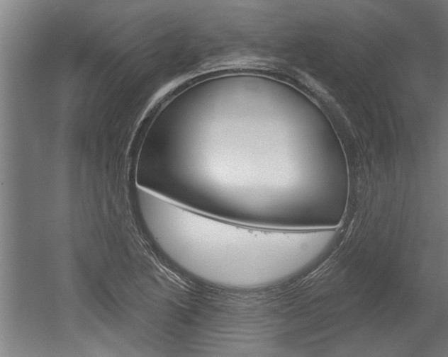 X0000052541222200507010810