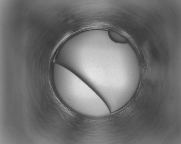 X0000052541227200507010810