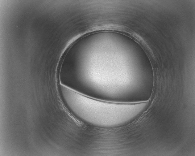 X0000052541230200507010810