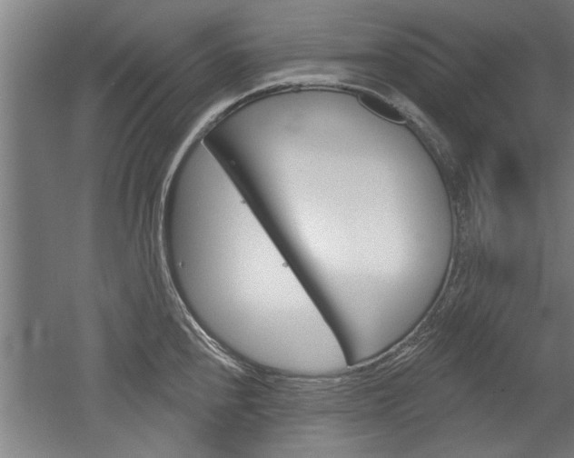 X0000052541240200507010810