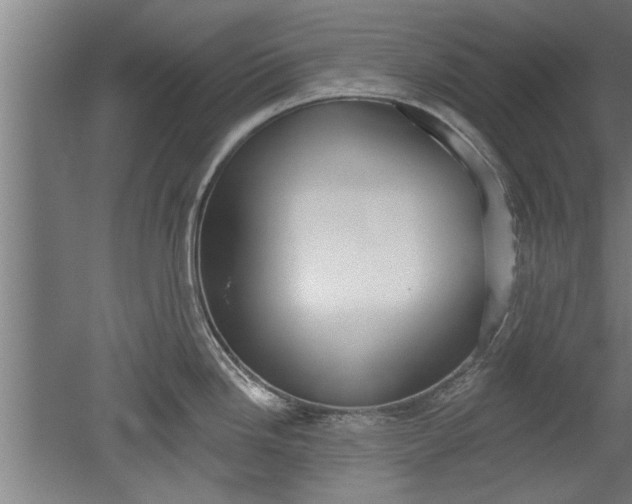 X0000052541246200507010810