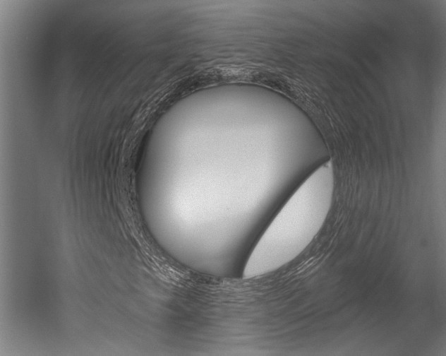 X0000052541249200507010810