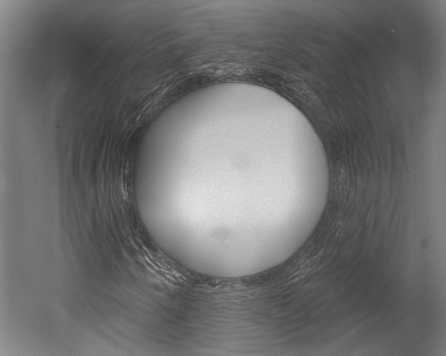 X0000052541250200507010810