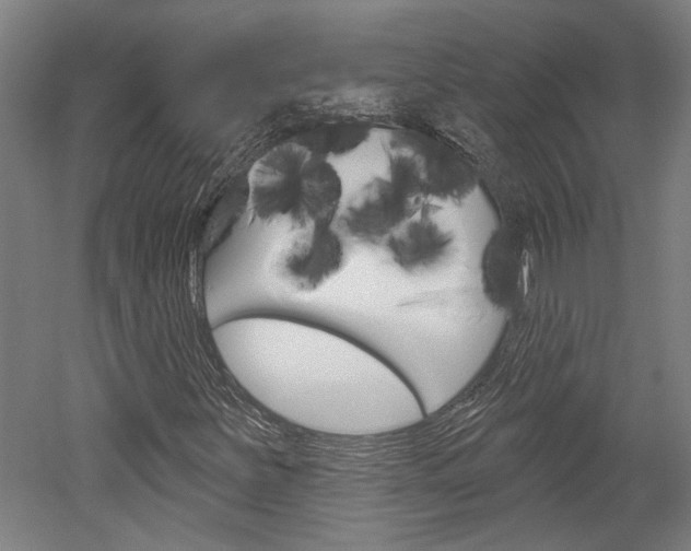 X0000052541251200507010810