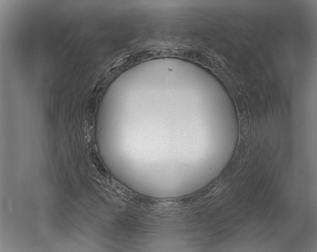 X0000052541253200507010810