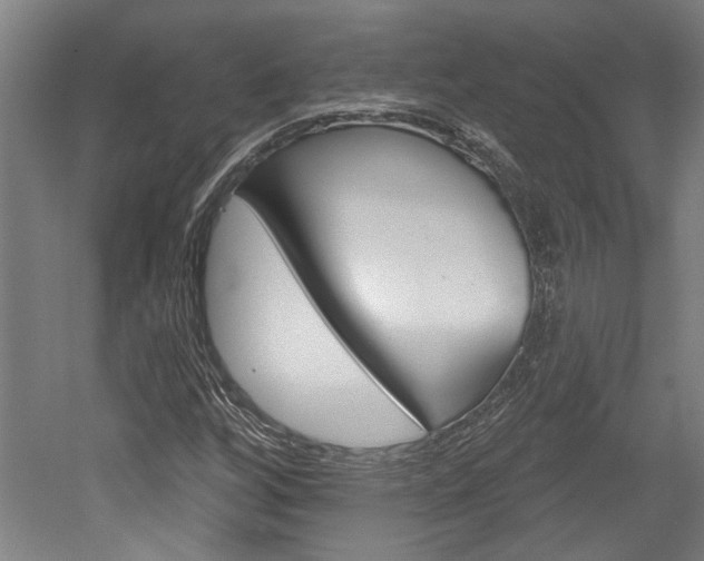X0000052541256200507010810