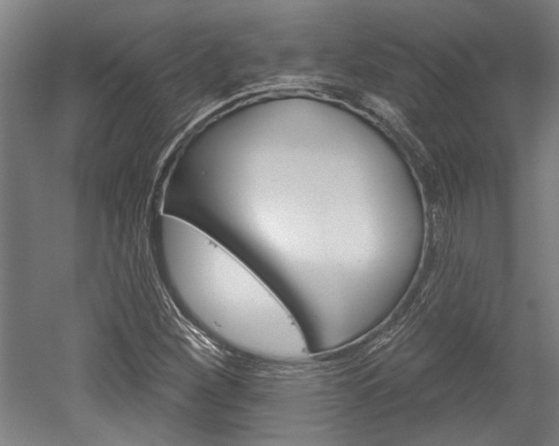 X0000052541260200507010809