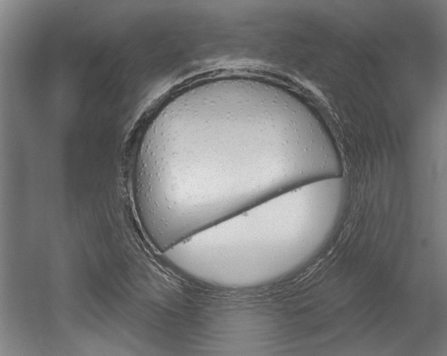 X0000052541263200507010809