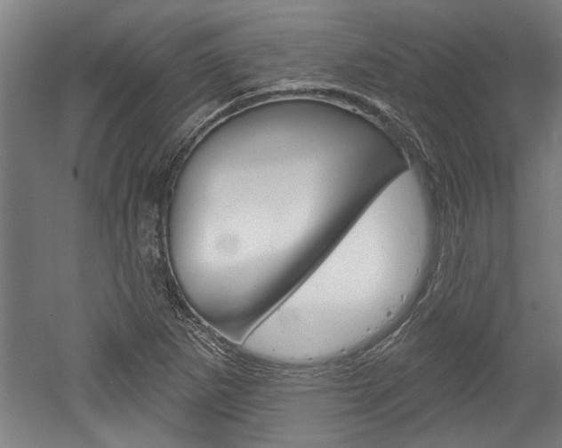 X0000052541265200507010809