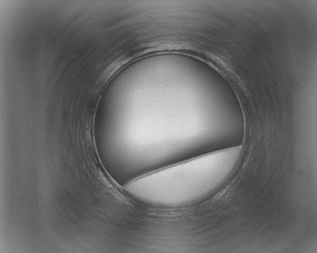 X0000052541273200507010809