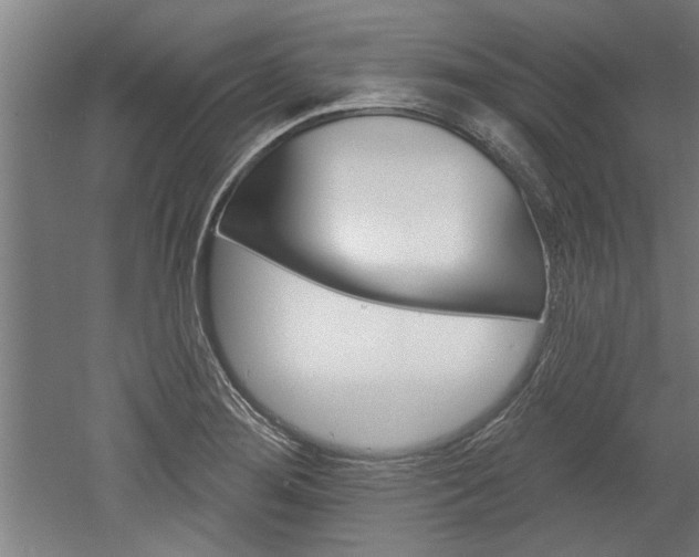X0000052541276200507010809