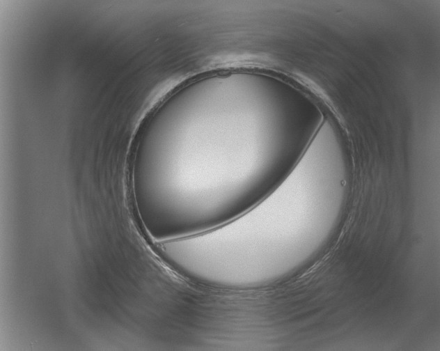 X0000052541277200507010809