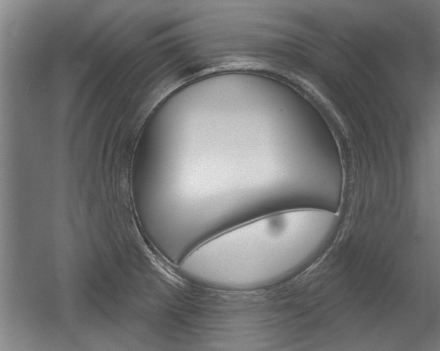 X0000052541281200507010809