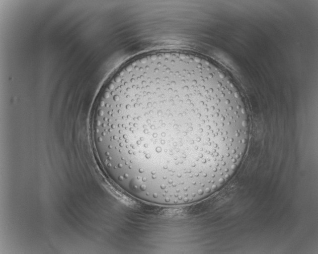 X0000052541283200507010809