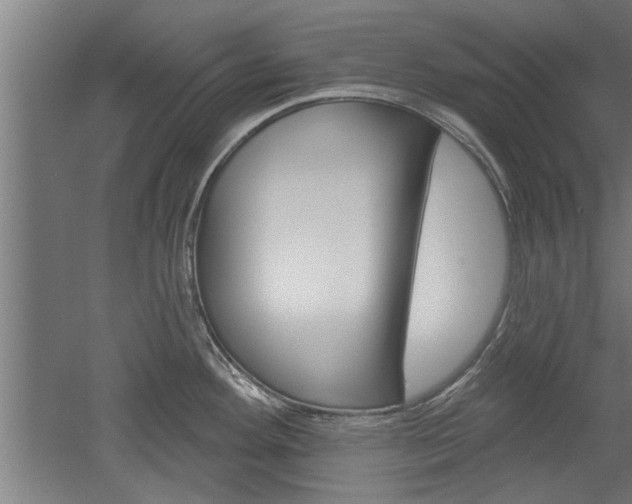 X0000052541292200507010809