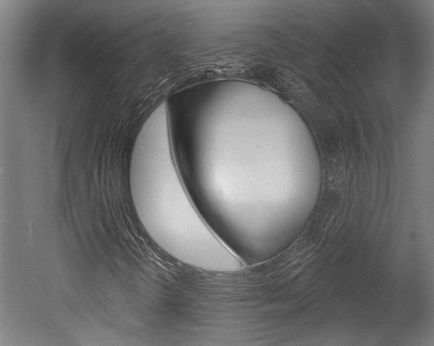 X0000052541298200507010808