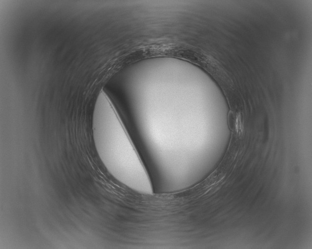 X0000052541299200507010808