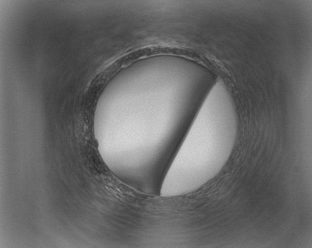 X0000052541303200507010808