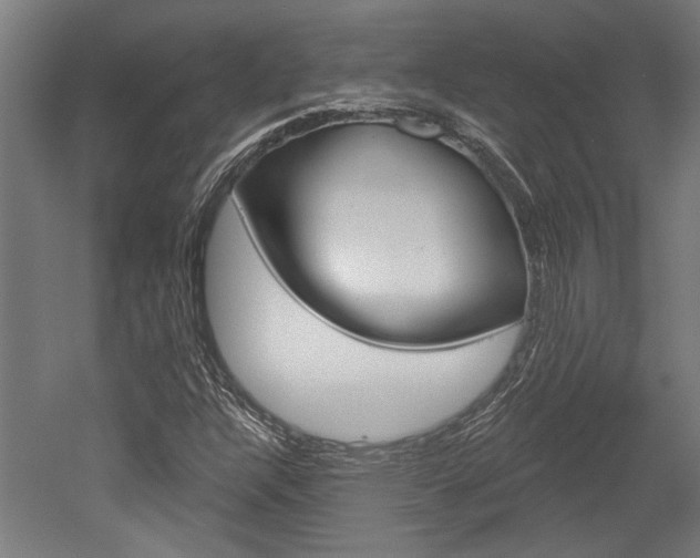X0000052541304200507010808
