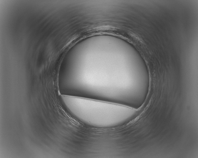 X0000052541305200507010808
